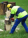 bild (16)